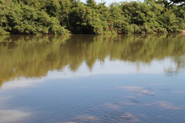 Rio Pimenta - Pimenta Bueno/RO - Captação da CAERD