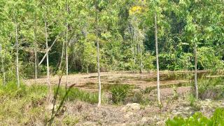 Coletas de amostras de água em nascentes do rio Palmeira em Espigão do Oeste